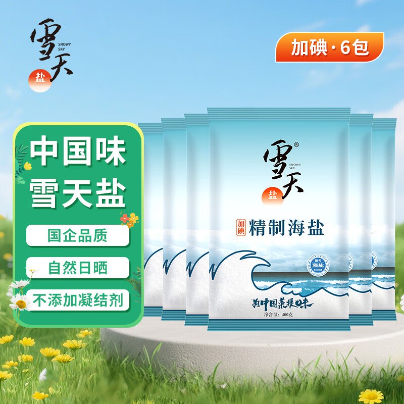 雪天盐 雪天精制海盐 400g*6包