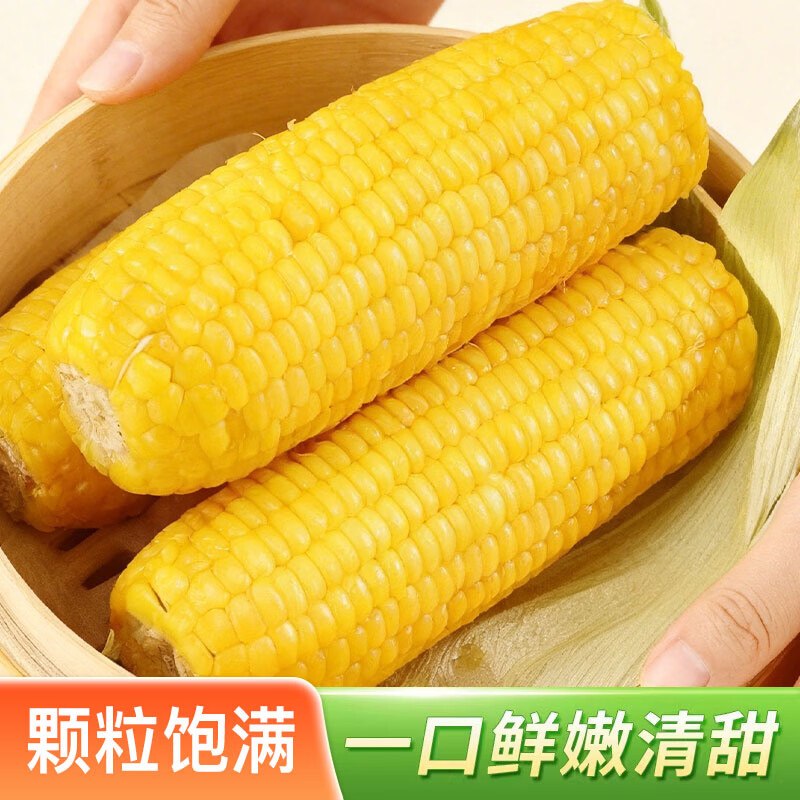 佟小满 东北黄糯玉米棒 10根叠首购10.9元；单根约180g