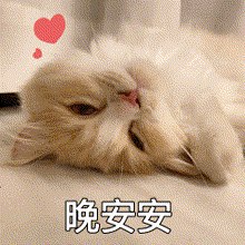 今天的分享就到这里 早点休息早起的可以爬楼看看晚安 宝子们，好梦~ 明天见