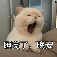 愿你所有的努力，所有的付出，都能得到温柔的回应