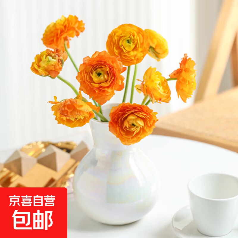 14.9元 洋牡丹随机色9支+1支防损