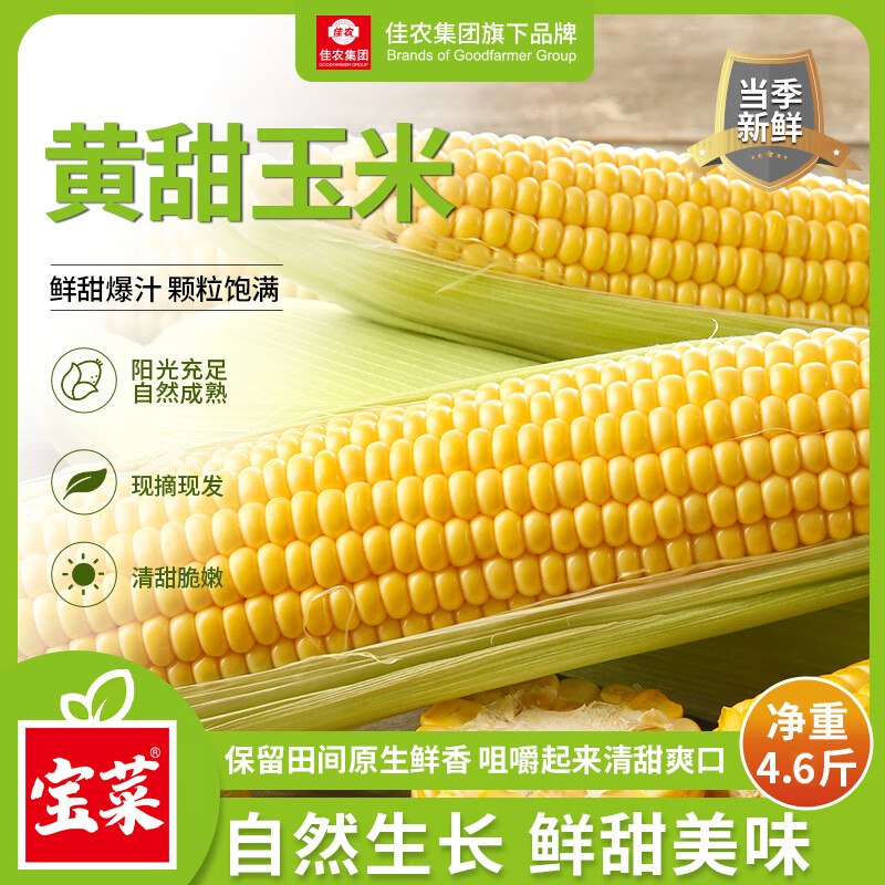 自营佳农宝菜 山东带皮鲜水果玉米拍下16.89元得 【净重4.6斤】