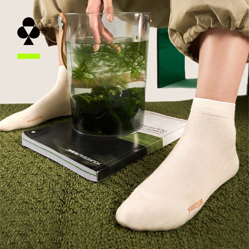 有棵树 5折抄底合集先领5折卷