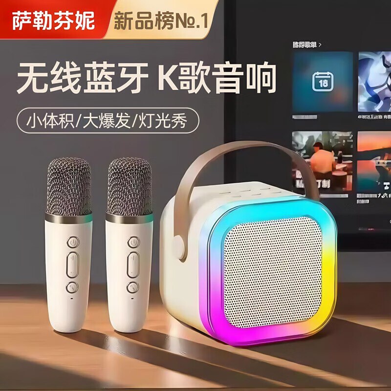萨勒芬妮 一体式无线话筒套装小音响