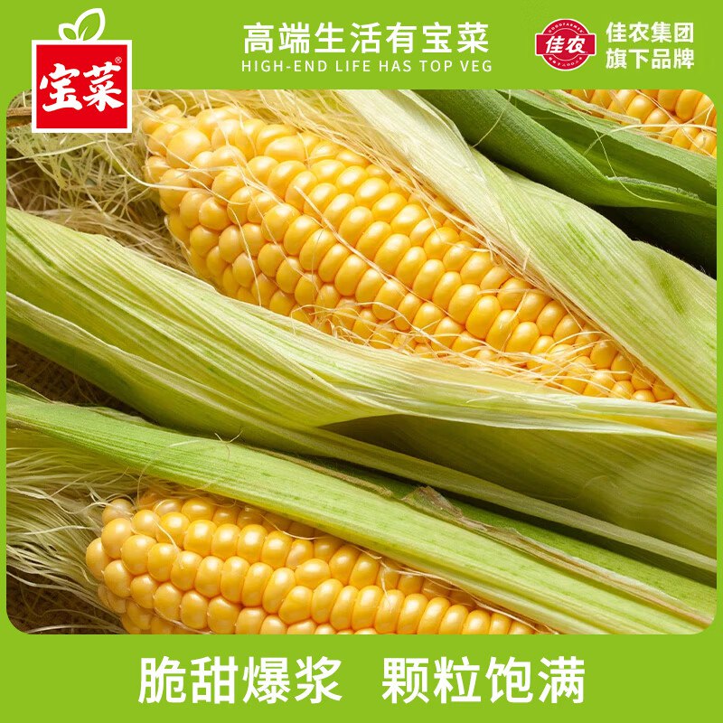 宝菜 黄甜玉米带皮整箱5斤（约5-8根）