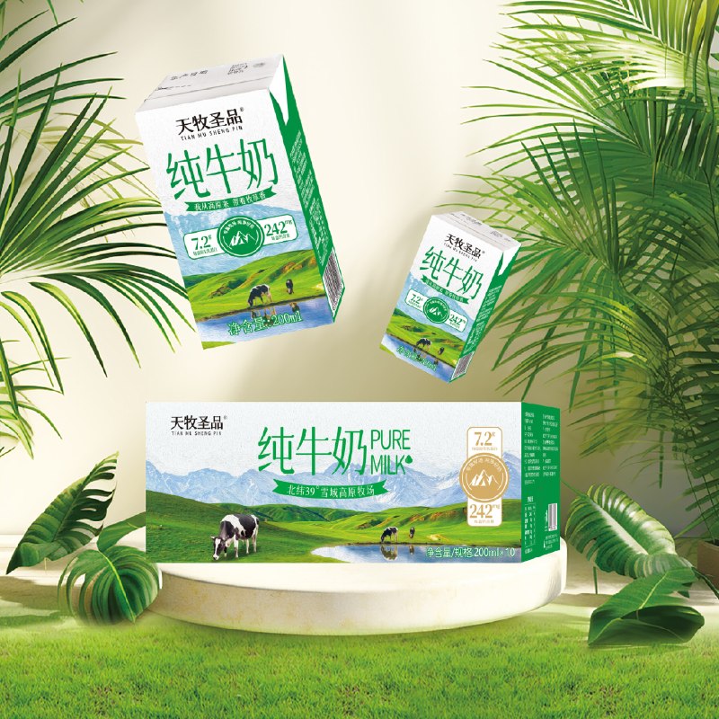 天牧圣品 高钙纯牛奶 200ml*10盒