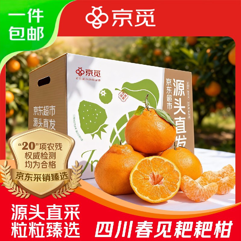 京觅 四川春见耙耙柑净4.5斤