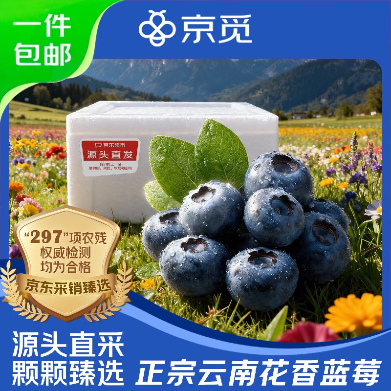 自营京觅 云南蓝莓100g*4盒