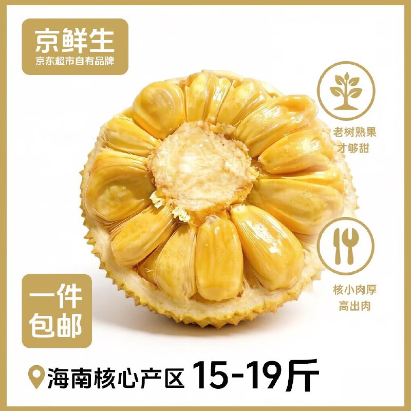 自营京鲜生 海南老树菠萝蜜 15-19斤