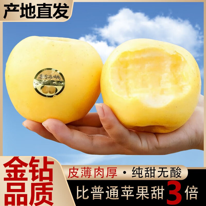 秦悦仙 正宗山东维纳斯苹果 净重4.5斤